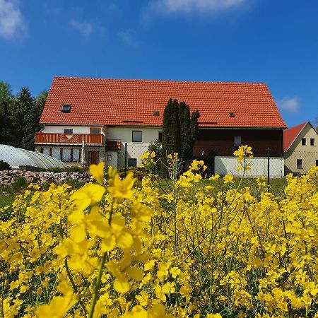 Alte Schaeferei Bad Gottleuba Villa Екстериор снимка