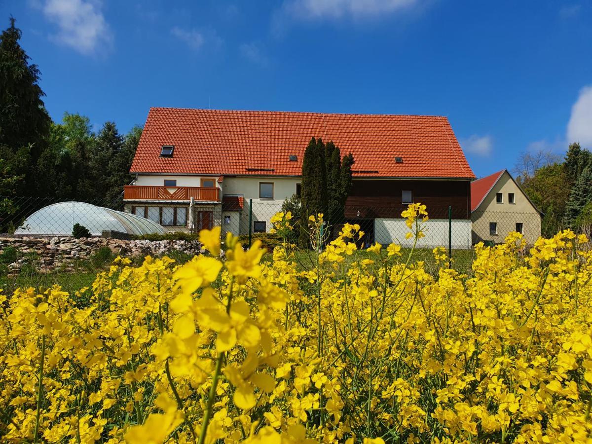 Alte Schaeferei Bad Gottleuba Villa Екстериор снимка
