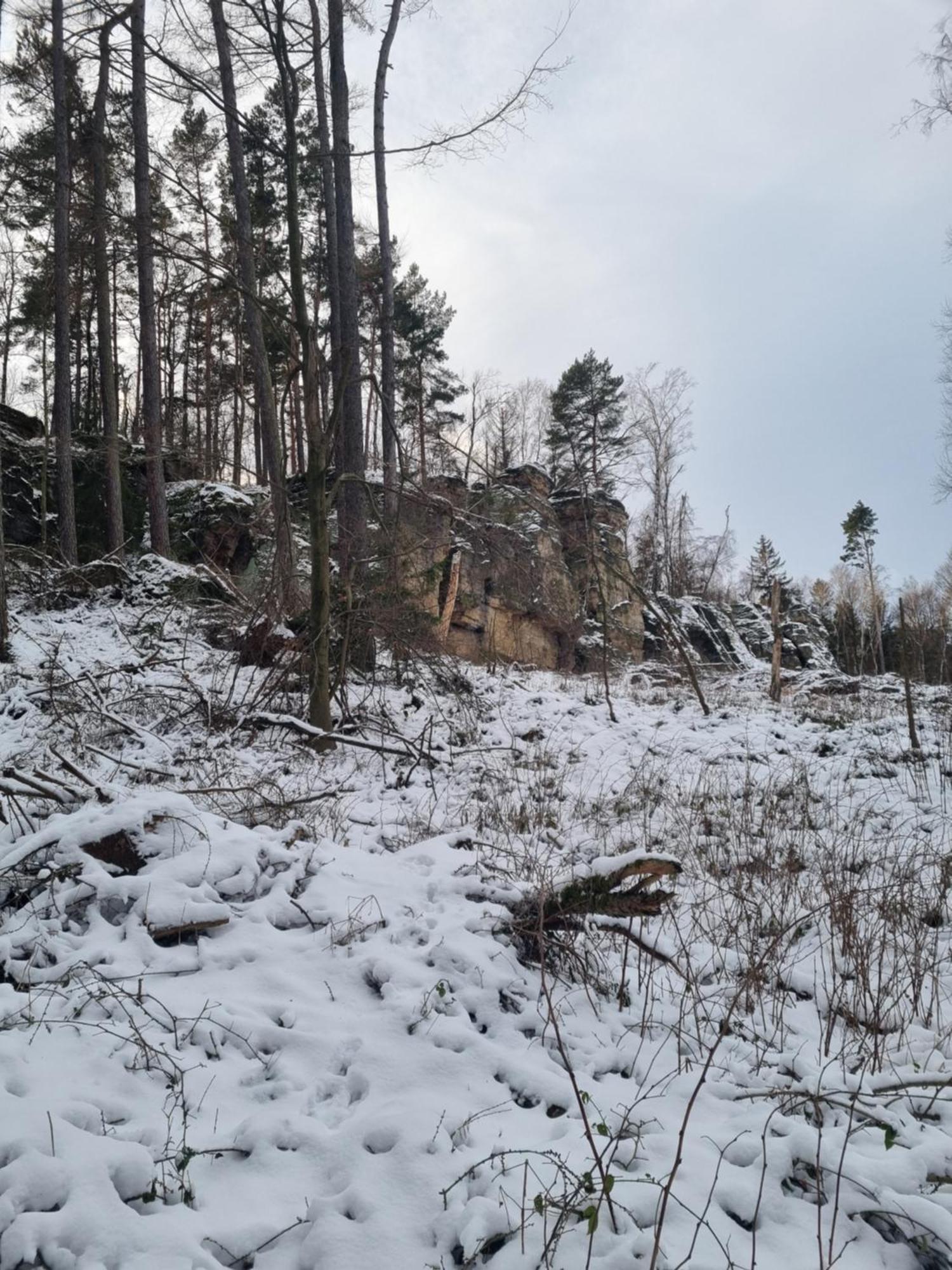 Alte Schaeferei Bad Gottleuba Villa Екстериор снимка