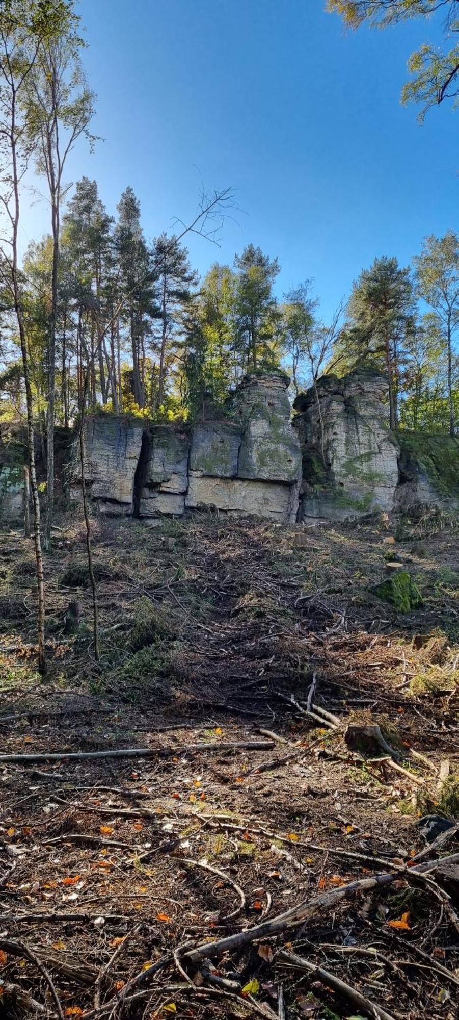 Alte Schaeferei Bad Gottleuba Villa Екстериор снимка
